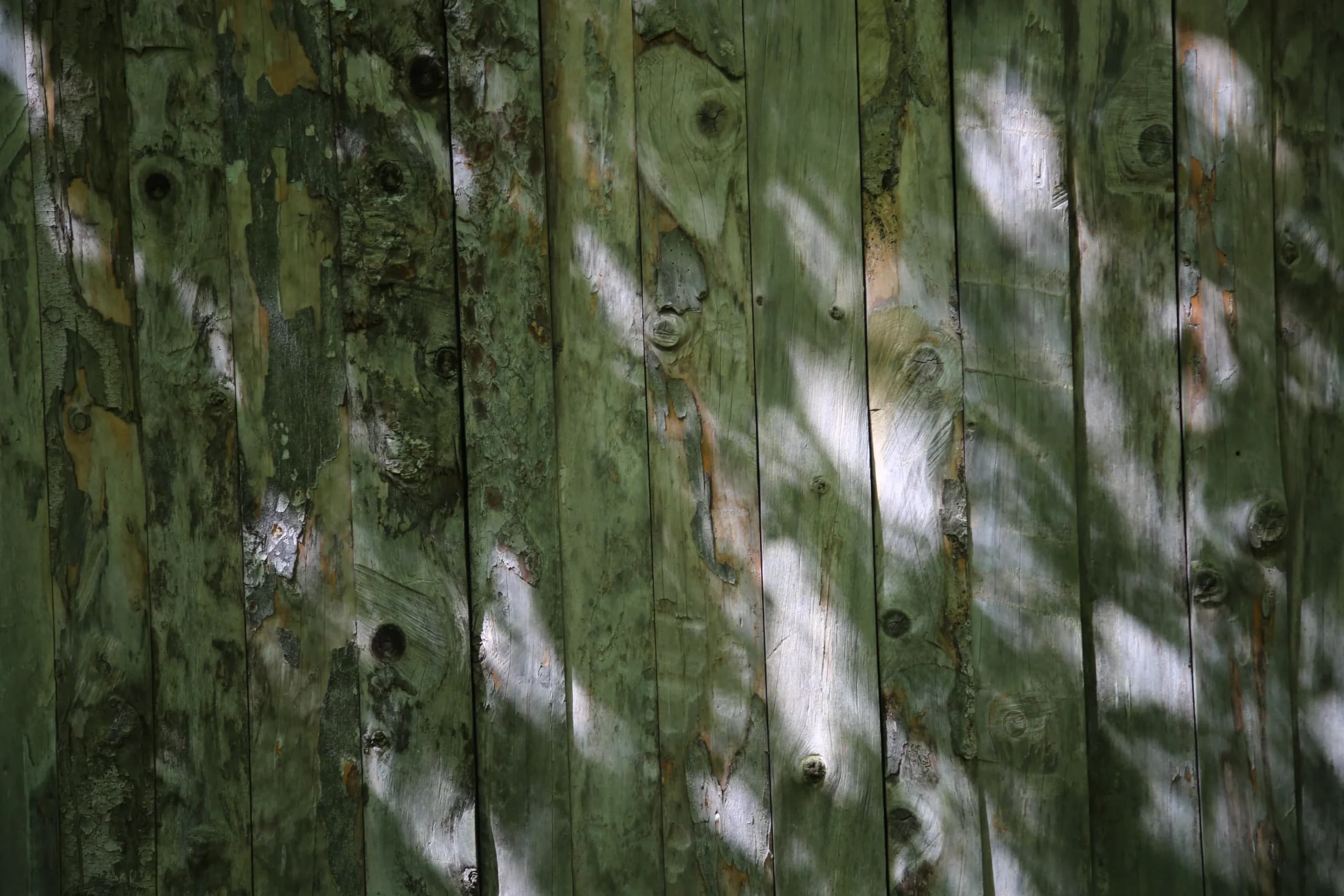 Le Palimpseste — illustration 5